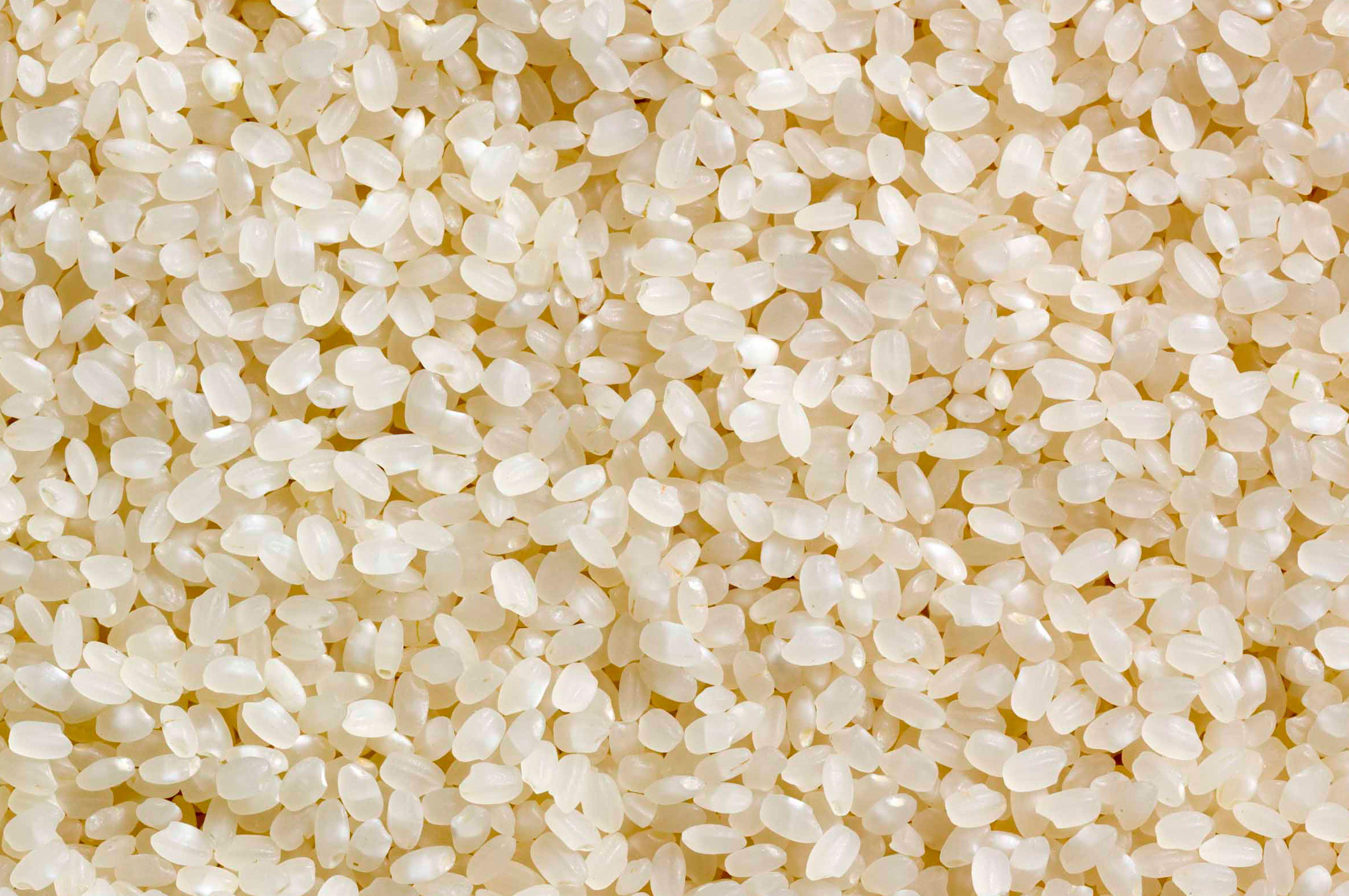 certified-organic-short-grain-sushi-rice-1-lb-blue-moon-acres