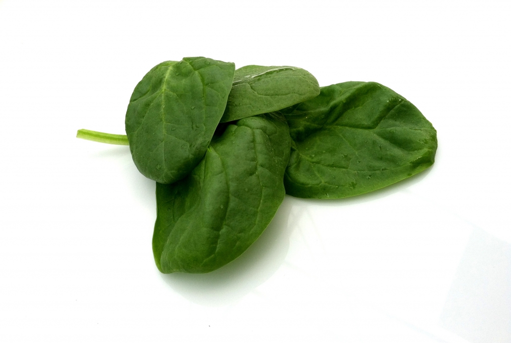 New Jersey Grown Baby Spinach