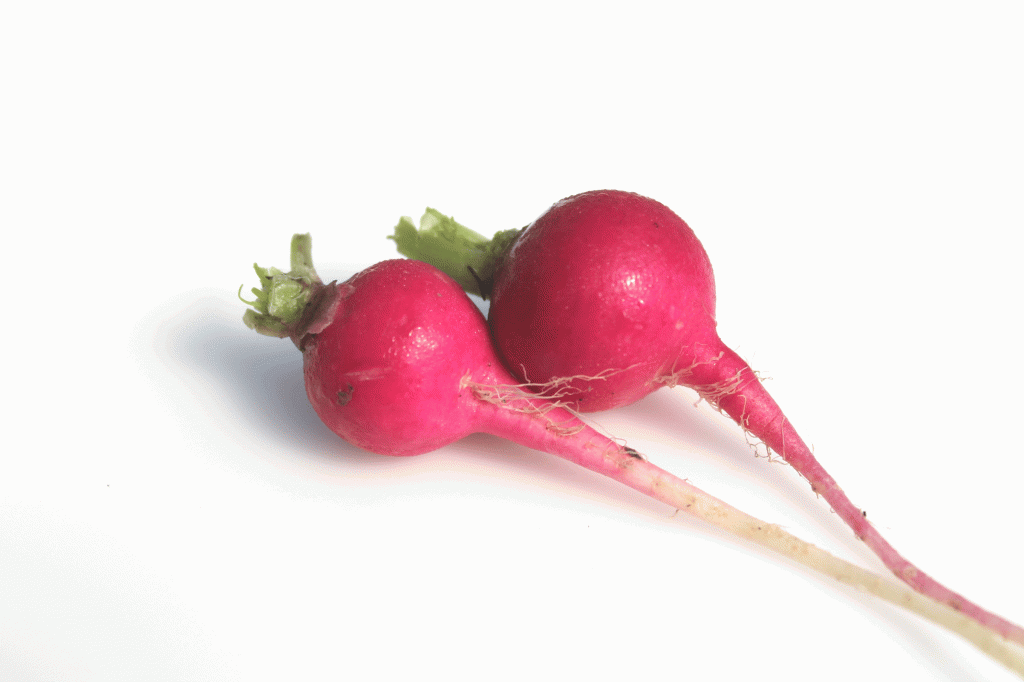 New Jersey Grown Baby Cherry Belle Radishes