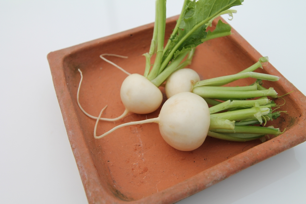 New Jersey Grown Baby Hakurei Turnips