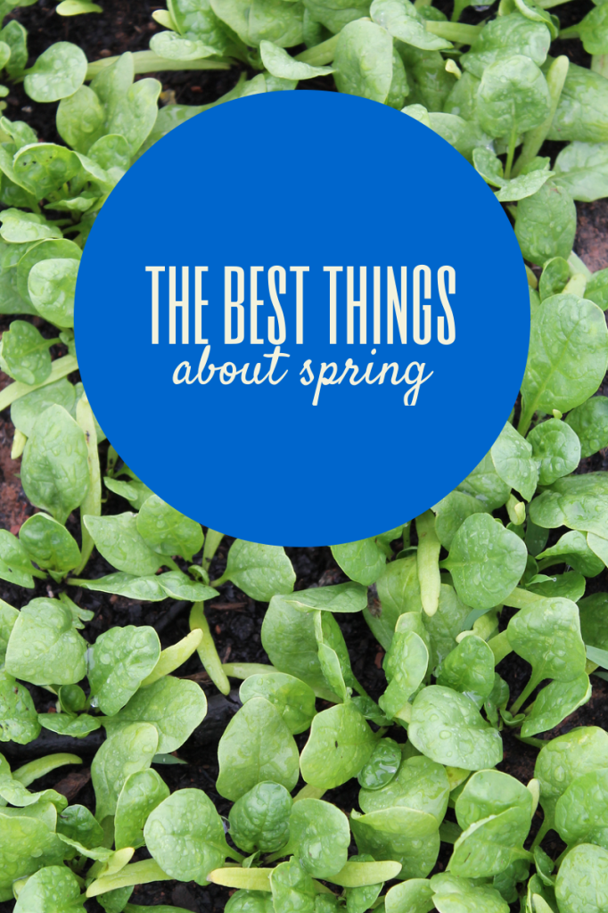 best things about spring (2)