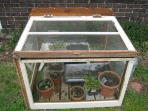 window greenhouse