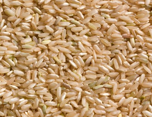 New Jersey Grown Long Grain Brown Rice