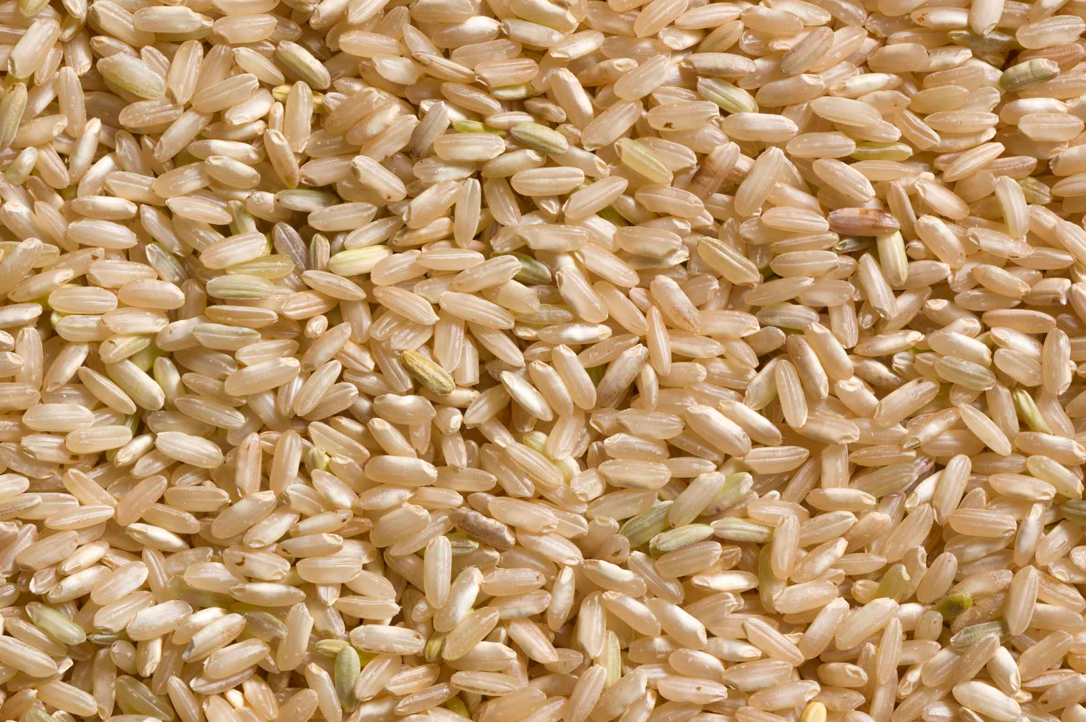 New Jersey Grown Long Grain Brown Rice Blue Moon Acres