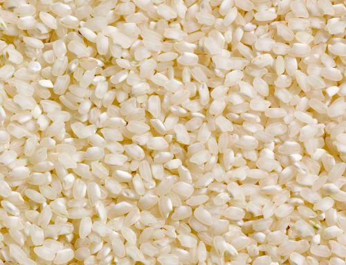 New Jersey Grown Maratelli Rice