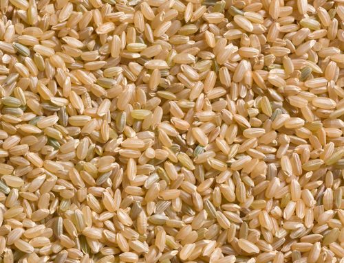 New Jersey Grown Medium Grain Brown Rice