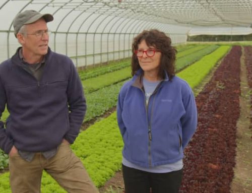 Blue Moon Acres Featured on CNBC