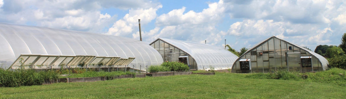 buckingham farm banner